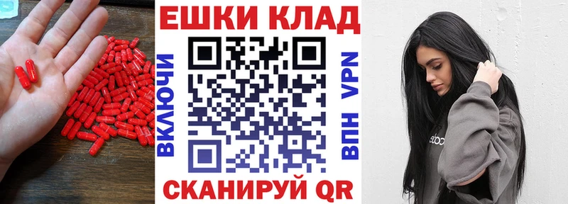 ЭКСТАЗИ Punisher  kraken ONION  Чаплыгин 