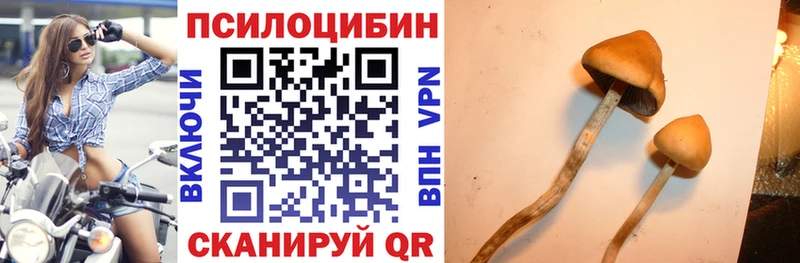 Галлюциногенные грибы MAGIC MUSHROOMS  как найти закладки  Чаплыгин 